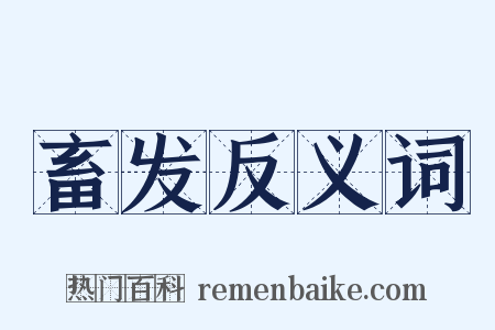 畜发反义词是什么意思的图片